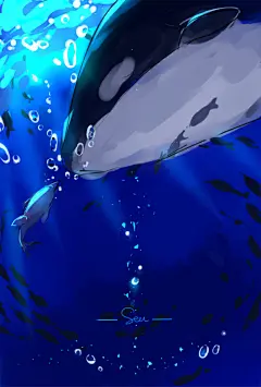 Free！男子游泳部 同人图 插画 壁纸 | —— s e a —— 