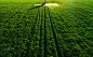 Aerial view of farming tractor plowing and spraying on field by Valentin Valkov on 500px