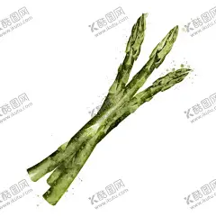 手绘彩色蔬菜免扣素材图片 【酷图网】芦笋,青菜插画,蔬菜插画,手绘蔬菜,手绘青菜,健康饮食,果蔬,蔬菜,水果,饭菜,绿色蔬菜,食物手绘,小清新,素材,美食,餐饮,手绘,食材,插画,火锅食材,食物,光盘行动,拒绝浪费,光盘,公益,宣传,卡通,PNG,免抠,免抠图,抠图,元素,透明,蔬菜素材,蔬菜沙拉,沙拉,有机蔬菜,天然,健康