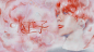 小王子