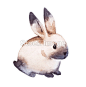 可爱的兔子。水彩手绘图 #背景图# #壁纸# #水彩# #头像# #兔子# #插画#
