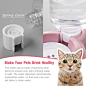 Amazon.com: Azwraith 双狗猫碗,宠物水和食物碗套装,带自动饮水瓶,可拆卸不锈钢碗,适合小型犬和猫,小猫,小狗兔子 - 粉色 : 宠物用品