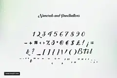 Font脚本和手写英文字体Back to Black - Free Script&amp; Calligraphy 字体下载 