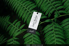 31款户外自然植物服装名片纸杯产品包装单页海报VI应用ps样机素材