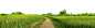 01 (17)