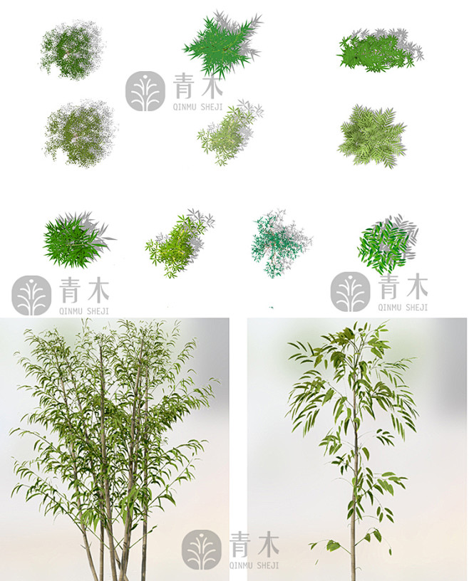 ps64景观ps竹子平面立面分层植物素材剖面图效果图高清png免抠图淘宝