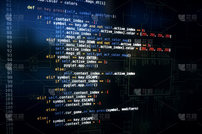 巨蟒,计算机语言,会议,编码,计算机病毒,显示器,计算机软件,计算机信息,斯洛文尼亚,图形界面