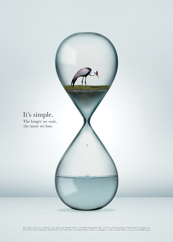 Birdlife - Hourglass...