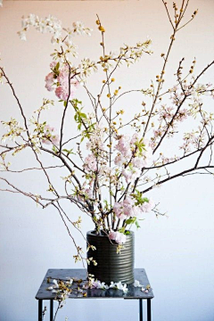 ^餕メ銀Οoゞ采集到花艺