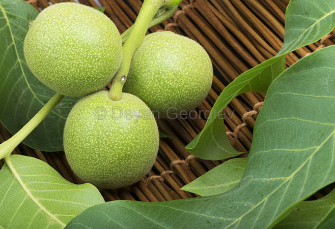 Green walnuts and le...