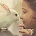 麓宇