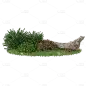 手绘石头3D灌木丛元素