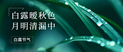 用户phMXWcFO采集到待归类采集