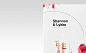 Shannon&Lykke : Tea packaging for Shannon&Lykke