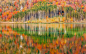 General 1920x1200 nature landscape mountain forest lake Austria trees colorful fall water reflection