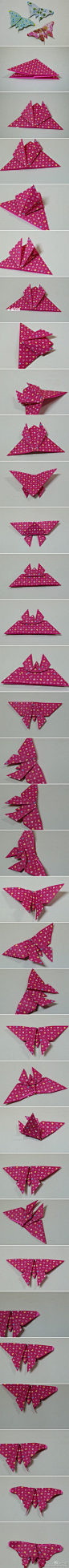 蝴蝶折纸~来学习下蝴蝶的折法！