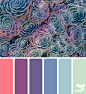 { succulent spectrum } image via: @traceylbolton