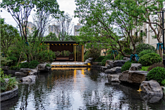Da胆刁民采集到景观植物
