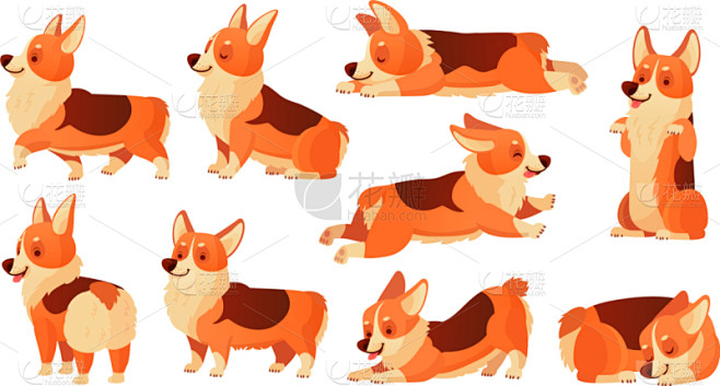 狗,注视镜头,性格,威尔士柯基犬,卡通,...