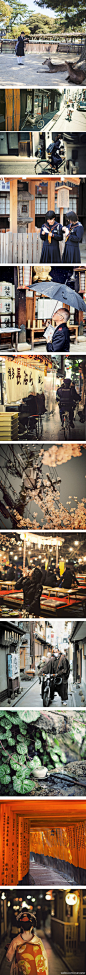 @overwater：#京 の 街角# 赴一场花的离别宴... @POCO官方摄影社区 poco大图 http://t.cn/zWJXlTP ；网易的 @网易摄影每日精选 http://t.cn/zWJXJgf 还是热爱66构图啊