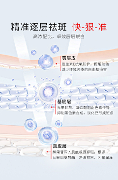 cDxoIizA采集到项目册素材