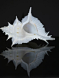 (852) Pinterest