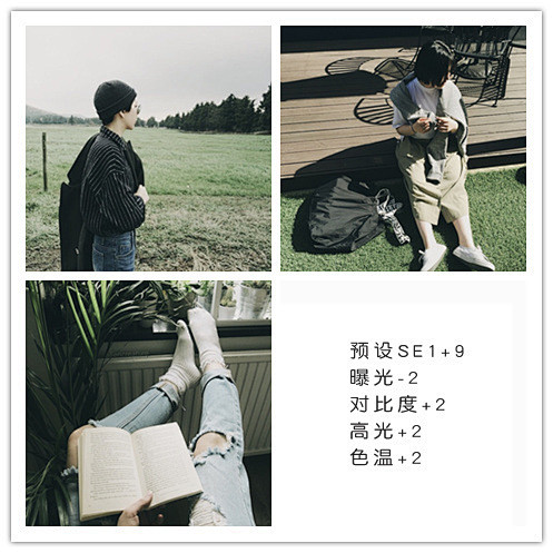 vsco调色_花瓣_采集68947964...