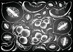 海棠,瓜,水果,图像,壁纸,特拉华,苹果,厚皮甜瓜,绘制