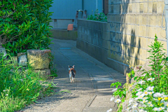 不吃葱花20采集到色彩练习