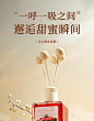 Herb Thyme韩国热带红果无火藤条 香薰室内持久家用 植物精油清新-淘宝网