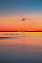 Photo by Lianhao Qu on Unsplash : Download this photo by Lianhao Qu on Unsplash