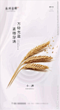 二十四节气小满微信朋友圈刷屏图