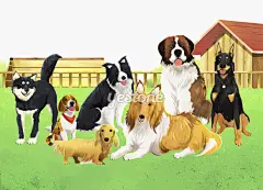 韩国插画_宠物_清新_Yestone邑石网_高品质的版权图片及商业正版图片素材提供商