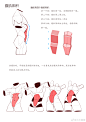 008mmm7Lgy1hh6r5rl5u6j31ww2pgh7x.jpg (2480×3508)