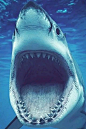 7f22d4ebgy1h4m3bt3py7j20hs0qoq5i
