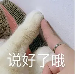 表情包