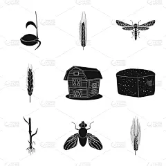 品牌名称,植物,裸麦,秋天,冬天,春天,谷物,褐色,设计,布置