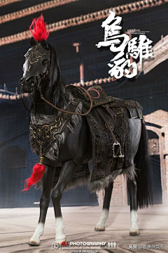 起风了~~~~~采集到坐骑