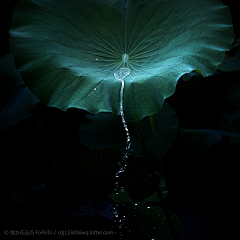 红军¡采集到节气