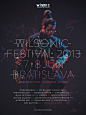 WILSONIC FESTIVAL 2013 Campaign & Short Movie on Behance (1240×1653)