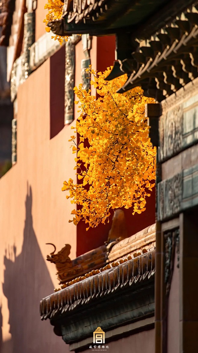 光影之中，细数紫禁城的秋日气质

