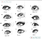 眼睛的素描绘画--眼睛的12种画法