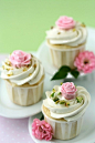 rose cupcakes