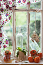 Tomatoes on the windowsill by NatashaBreen