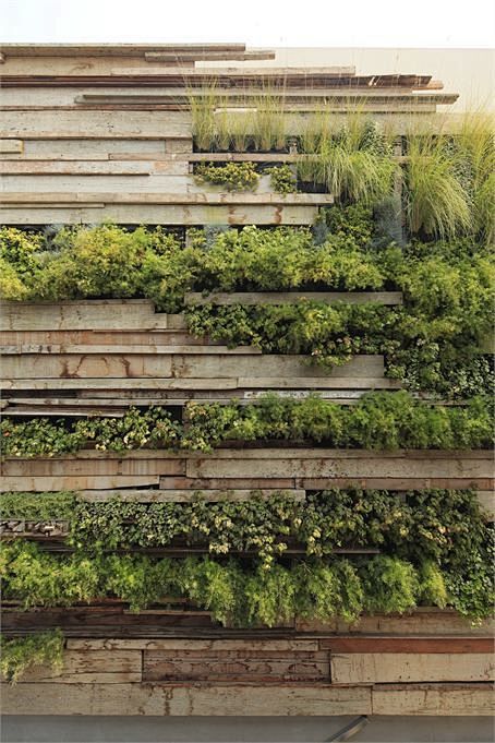 景观设计 ·  墙面绿化