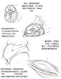 如何正确表示生物体积？ - 小红书