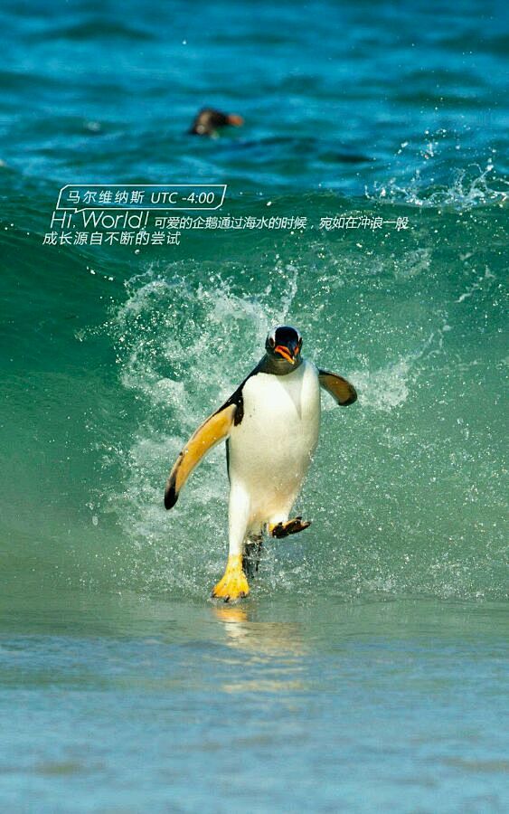 2a282924ab18972bcc78...