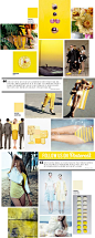 Curating the Curated: Yellow: 