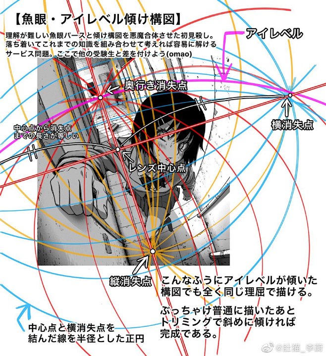 肚猫_李蔚的照片 - 微相册