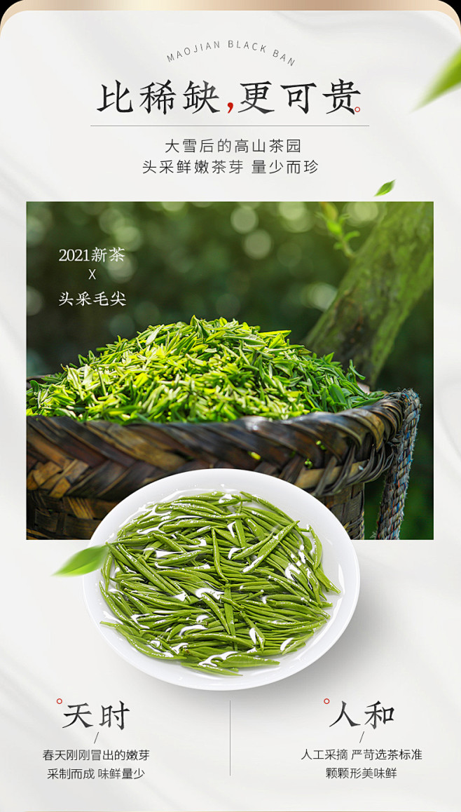 乐品乐茶臻选毛尖茶绿茶2021新茶叶特级...